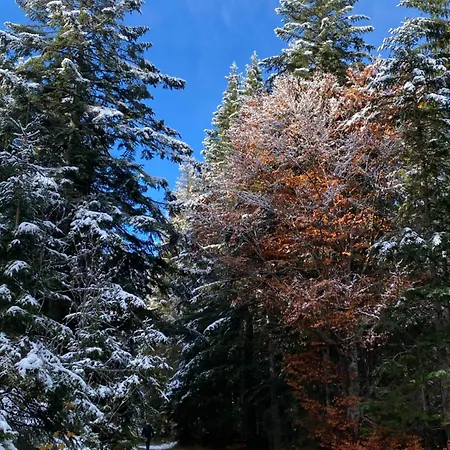 Haus Bergkristall - Appt. Schneider Seefeld in Tirol