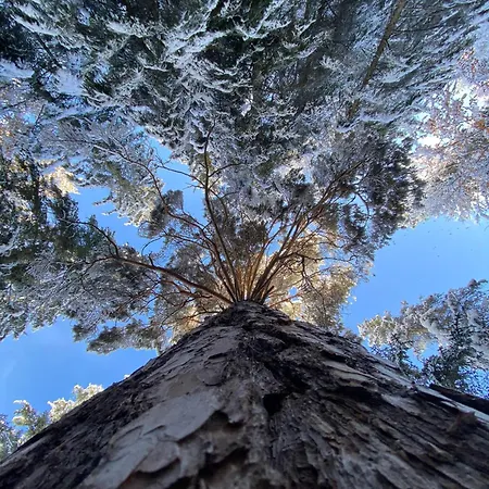 Haus Bergkristall - Appt. Schneider Seefeld w Tirolu